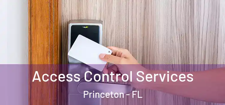 Access Control Services Princeton - FL