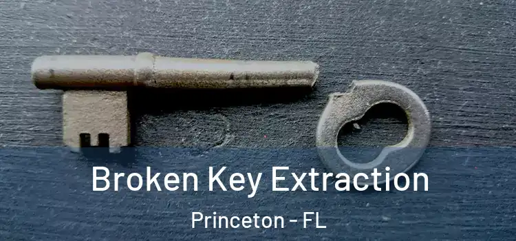 Broken Key Extraction Princeton - FL
