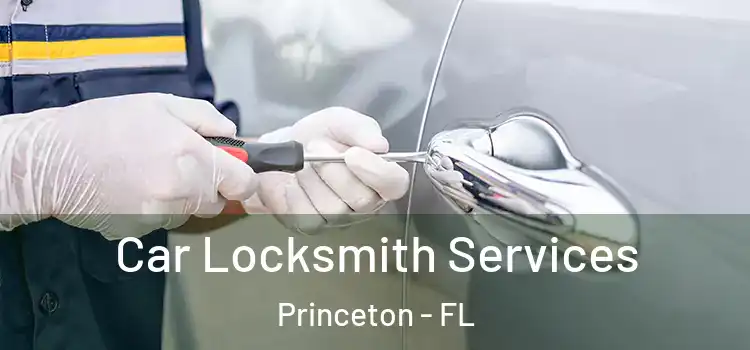 Car Locksmith Services Princeton - FL