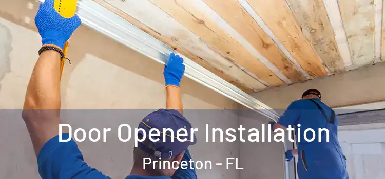  Door Opener Installation Princeton - FL
