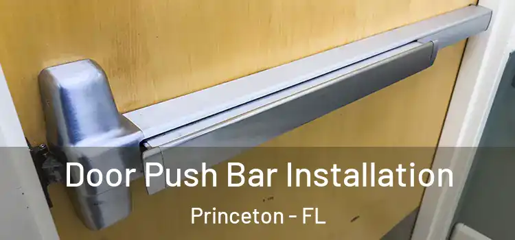 Door Push Bar Installation Princeton - FL