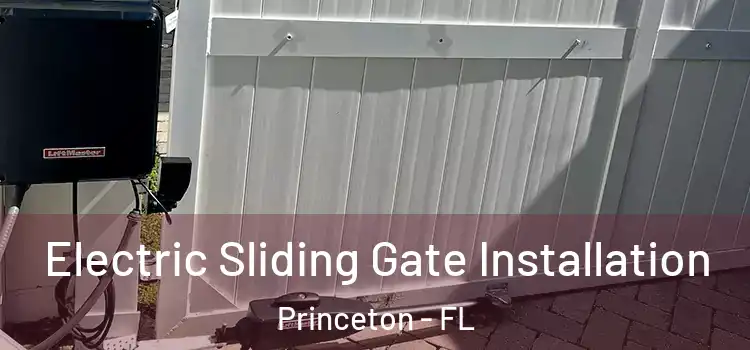 Electric Sliding Gate Installation Princeton - FL