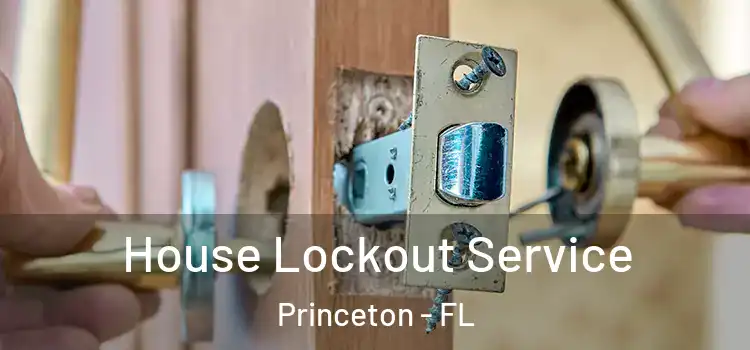 House Lockout Service Princeton - FL