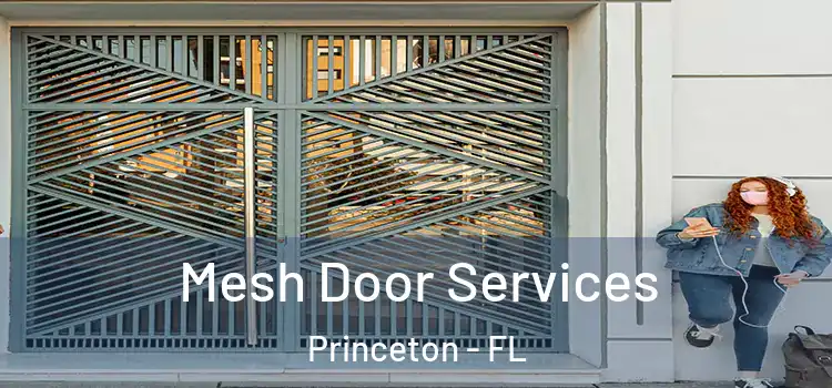 Mesh Door Services Princeton - FL