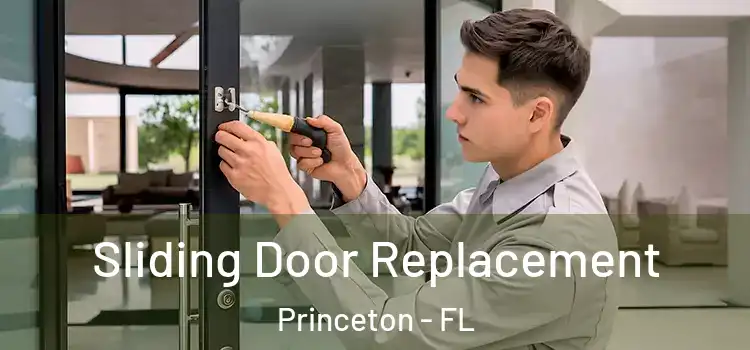 Sliding Door Replacement Princeton - FL
