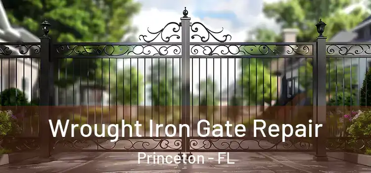 Wrought Iron Gate Repair Princeton - FL